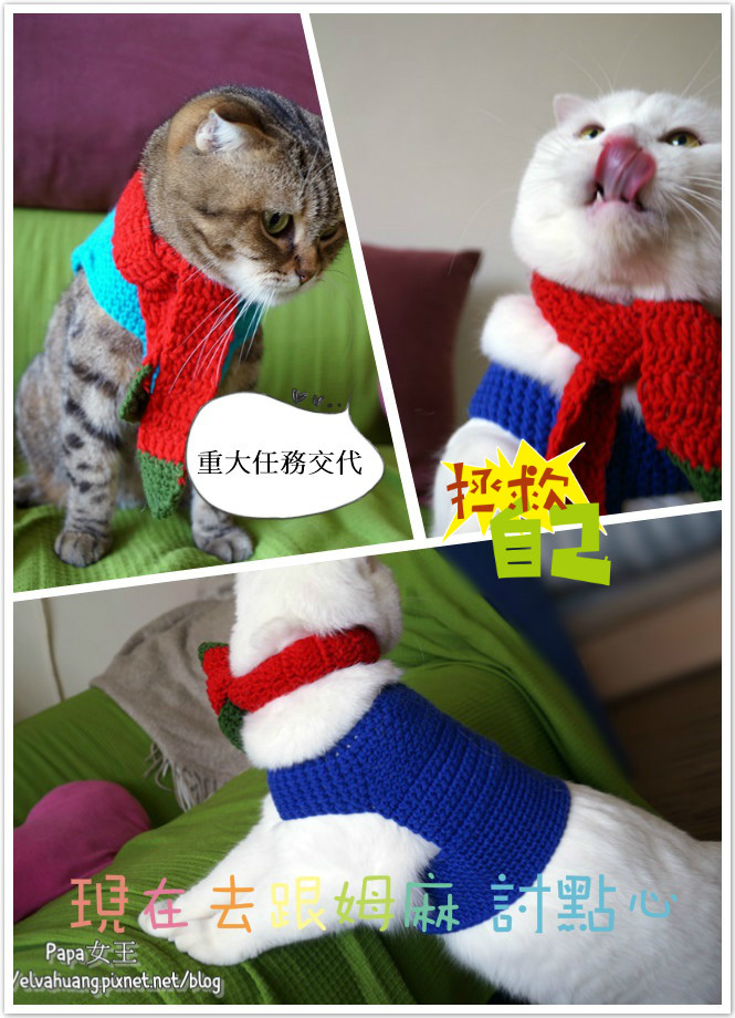 DSC01182_meitu_2.jpg
