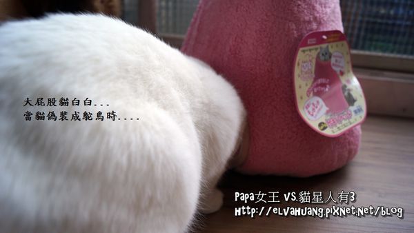 DSC00835.JPG