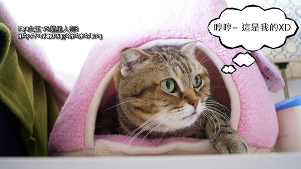 隧道玩具屋