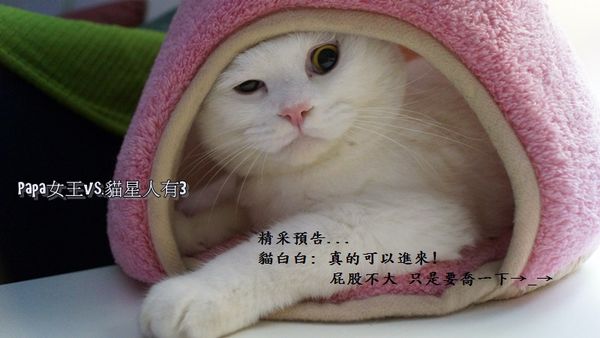 DSC01251