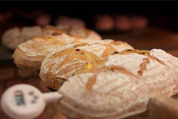 10917273_346053218852546_4242869211706144749_n 10917273_346053218852546_4242869211706144749_n