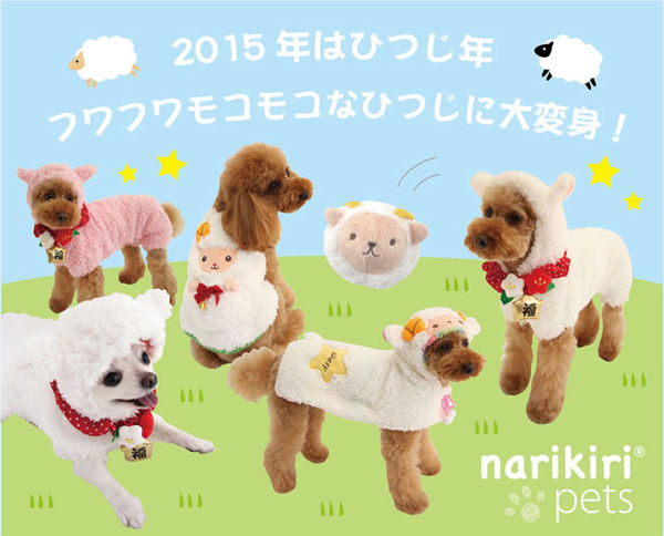 2015010121223972010_600X 2015010121223972010_600X