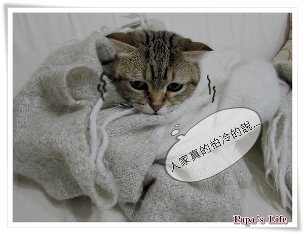 2010.寒流來
