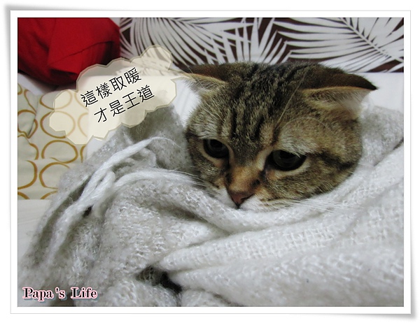 2010.寒流來