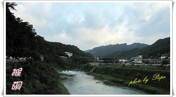 猴硐 貓村