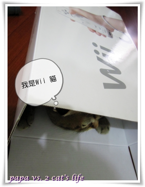 Wii貓