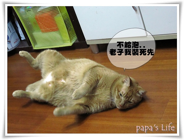 尼莫
