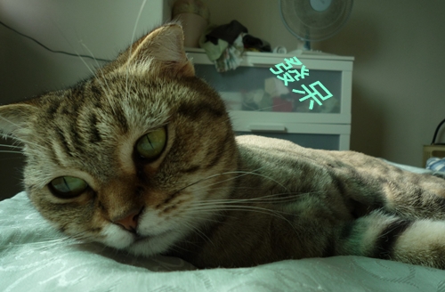 P1000518.JPG