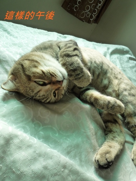P1000519.JPG