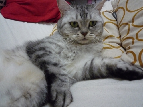 P1000499.JPG