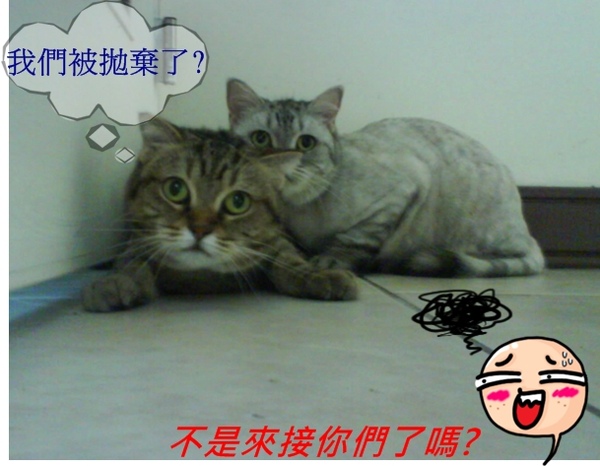 泡吉我們在那呀