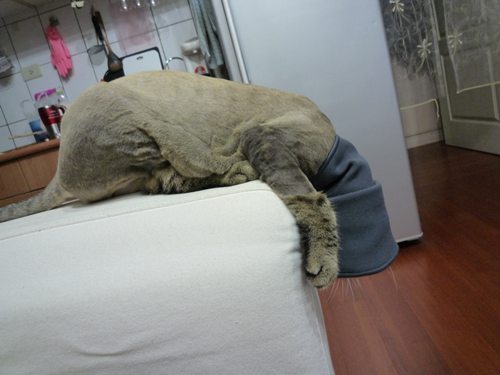 P1000812.JPG