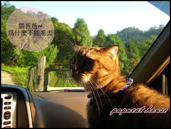三義勝興