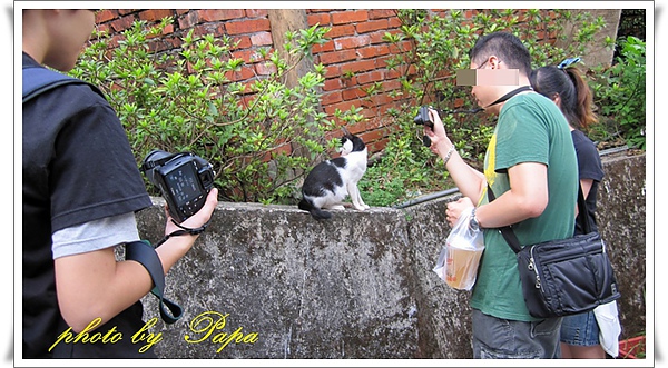 猴硐　貓村