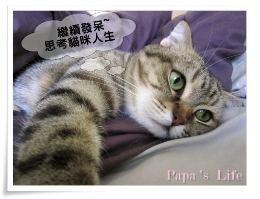 2010.11