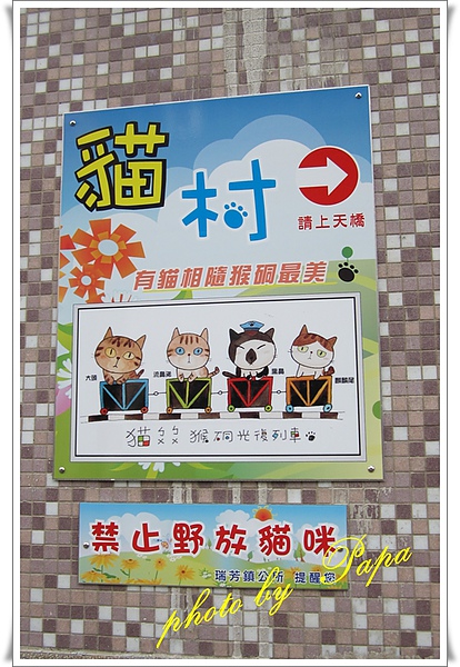 猴硐 貓村