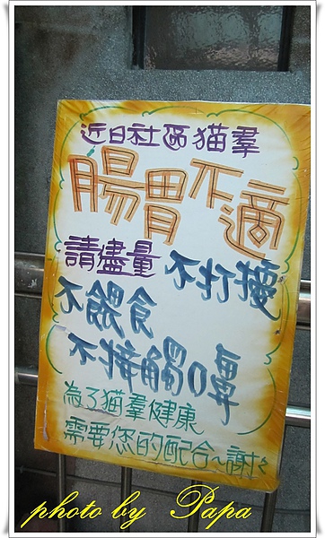 猴硐 貓村
