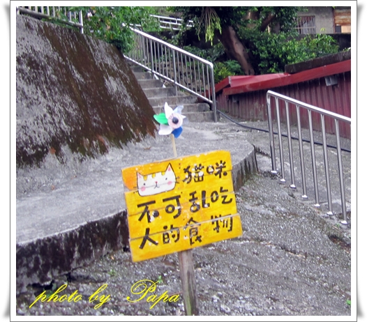 猴硐 貓村