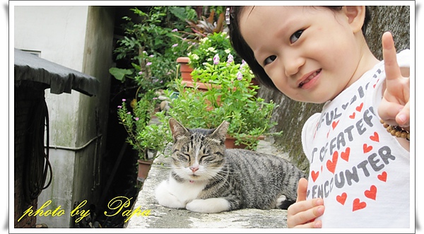 猴硐　貓村