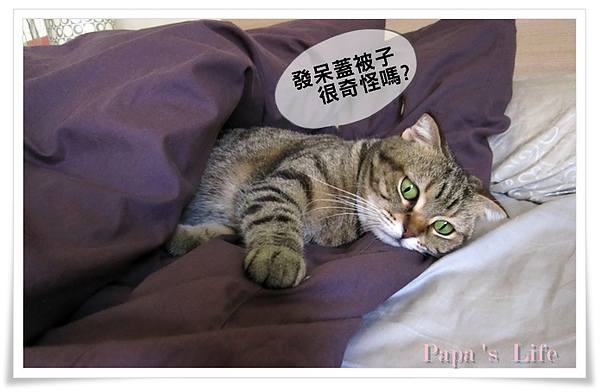 2010.11
