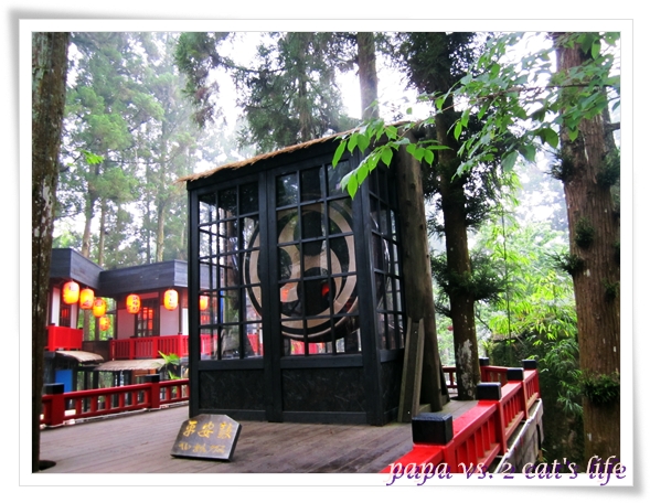 溪頭妖怪村