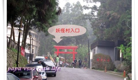 溪頭-半日遊