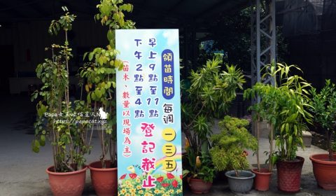 南屯苗圃領苗