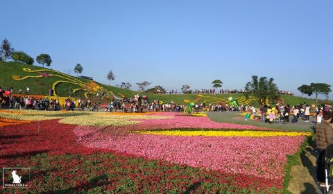 台中國際花毯節