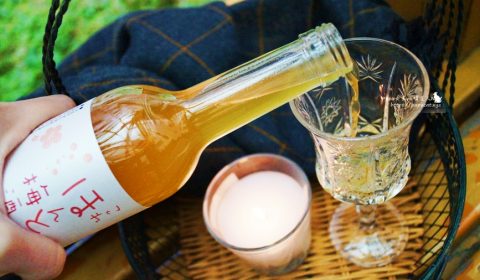 日本紀州梅酒