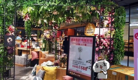HOLA 大燉店