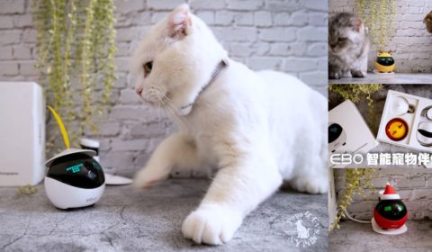 Ebo 智能寵物伴侶