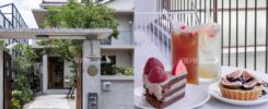 Bonniesugar手作水果甜點專門店-曙光店