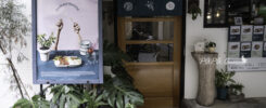 众菜 zhong tsai