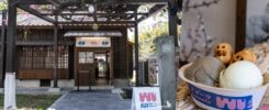 吳甜-日式宿舍冰店