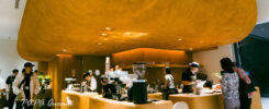 ONIBUS COFFEE