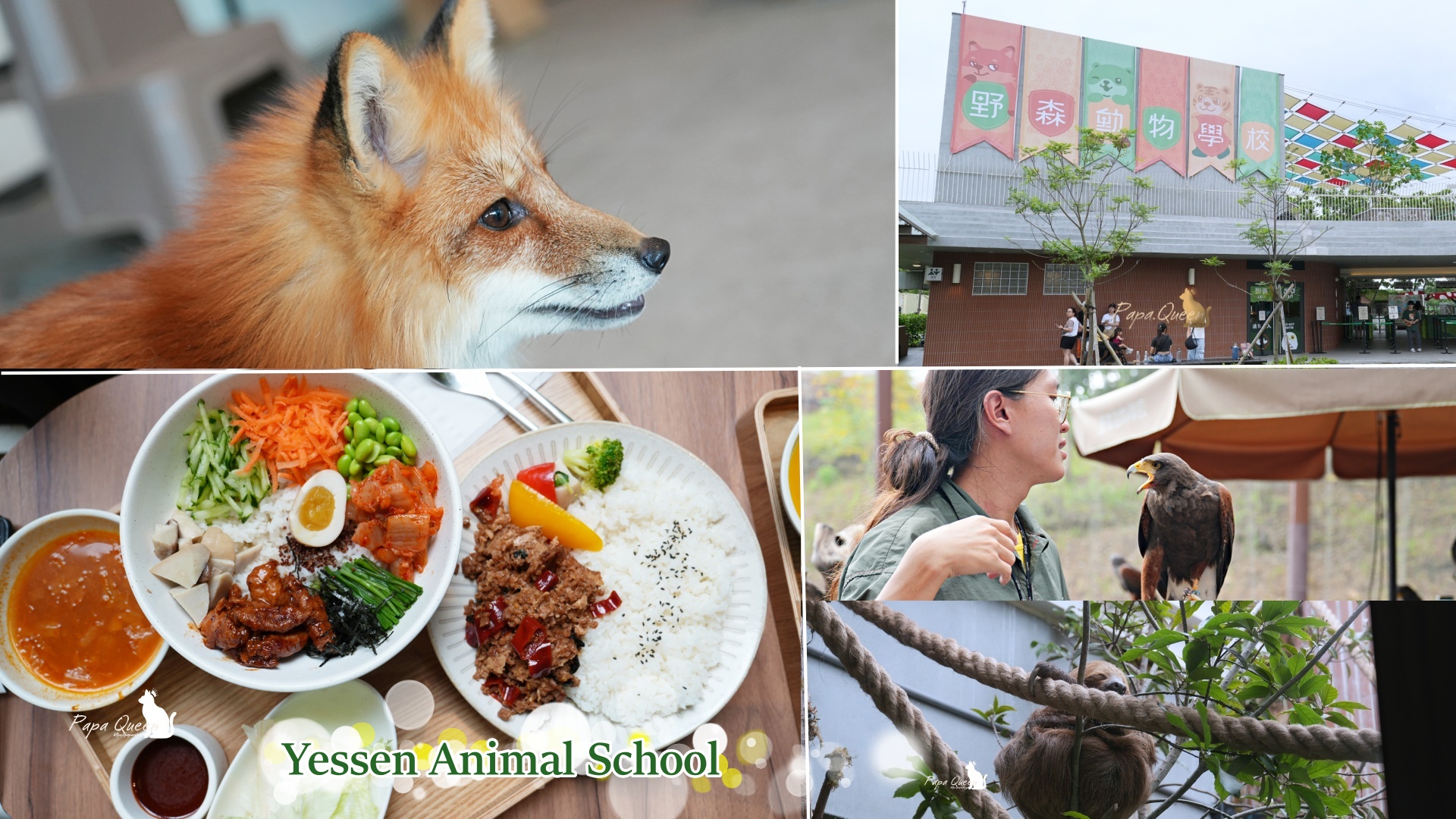 野森動物園 野森動物學校